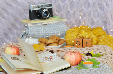 notebook, old vintage camera, apples and other different autumn things on the knitted background
