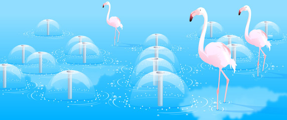 Three flamingo walking in water © zzve