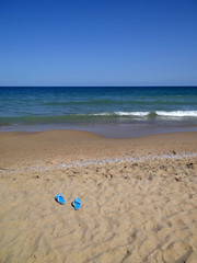 Flops on lonely beach with sea background and blue sky