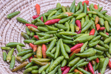 Red and green chilly pepper in basket background.