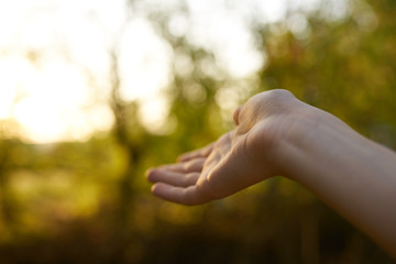 hand and sun