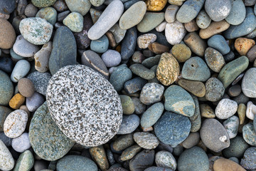 Background with different color sea stones