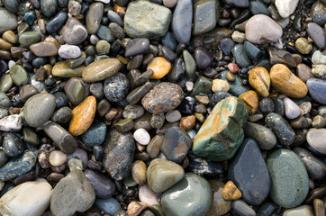 Background with different color sea stones