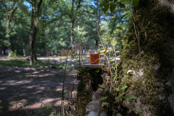 Eastern black tea in glass on a eastern carpet. Eastern tea concept. Armudu traditional cup. Sunset background. Selective focus