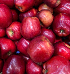 Red Delicious apples