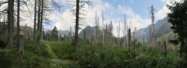 Upper part of Koprova dolina valley in Tatra mountains in Slovakia © rihas