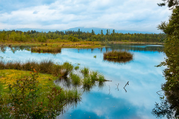Bavarian Moor in autumn