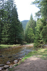 Szlak na Czerwone Wierchy © Sawek