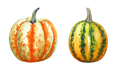 A collection of watercolor hand drawn colorful pumpkins