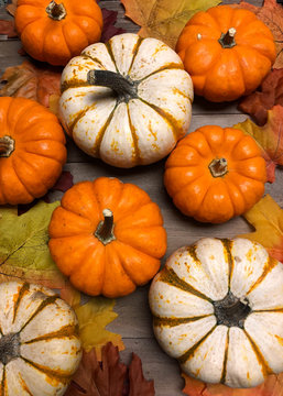 Fall pumpkins background