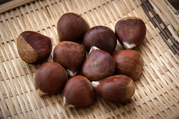 japanese chestnut image
