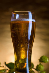 Amber beer with a sprig of hops on a wooden Board. Foam hop drink