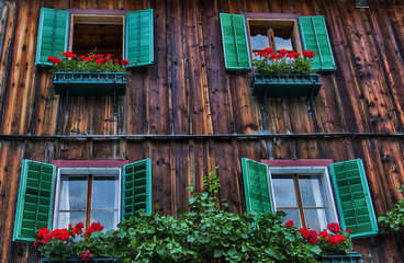 A typical european house with green windows & red flowers