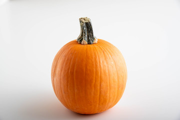 isolated wee be pumpkin