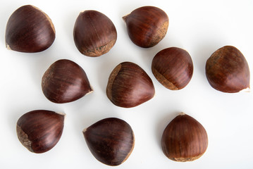 japanese chestnut image