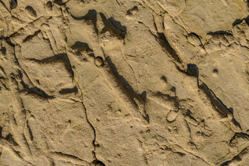 Gestein mit Salzschicht