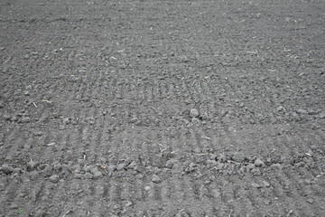 Soil of plowed farmland