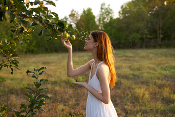 Obraz premium apples village woman