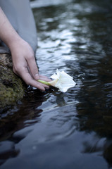 women's hand releases the beautiful white gladiolus flower to float in the water of the flowing river