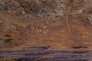 Along the Way Gray's Mountain Hike Colorado