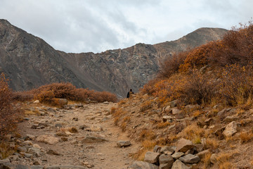 Along the Way Gray's Mountain Hike Colorado