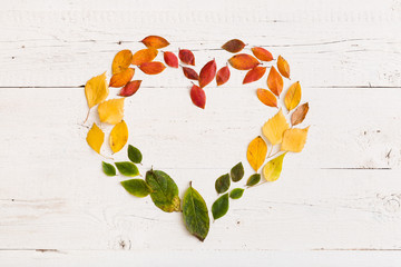 Top view on various autumn colorful leaves in heart shape on vintage white wooden background.