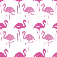 Seamless pattern of flamingos on a white background. Vector illustration.