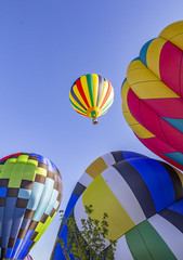 Fototapeta premium Hot Air Balloon in Flight