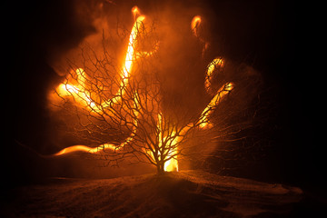 Silhouette of scary Halloween tree with horror face on dark foggy toned fire. Scary horror tree...
