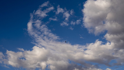 blue sky with white clouds