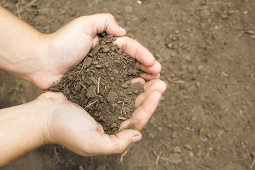 Woman holding some land