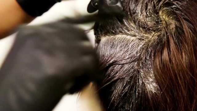 Series of closeup of hair dresser applying chemical color dye onto hair of customer in salon 

