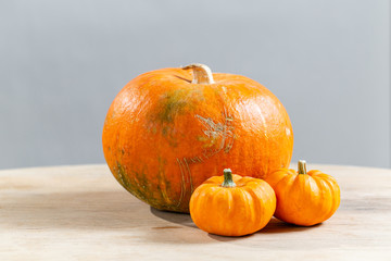 halloween. Autumn orange small pumpkins on wooden table. Copy space for text.