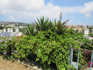 Fototapeta na wymiar view of ronda andalusia spain