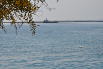 The cargo ship transportation