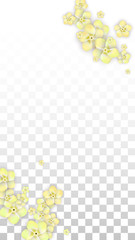 Vector Realistic Yellow Flowers Falling on Transparent Background.  Spring Romantic Flowers Illustration. Flying Petals. Sakura Spa Design. Blossom Confetti. Design Elements for Wedding Decoration.