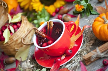 hot winter or autumn drink with spices and wild rose berries, mulled wine, hot wine