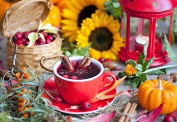 hot winter or autumn drink with spices and wild rose berries, mulled wine, hot wine