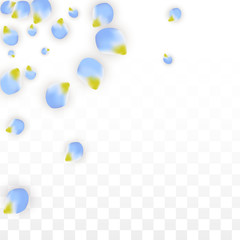 Vector Realistic Blue Petals Falling on Transparent Background.  Spring Romantic Flowers Illustration. Flying Petals. Sakura Spa Design. Blossom Confetti.