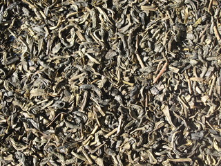 Earl-Grey-Tee