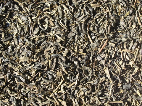 Earl-Grey-Tee