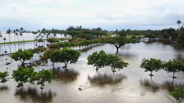 Hurricane Lane hit Hilo,HI as category 5 Hurricane.this is some of the footage I captured after the storm passed.