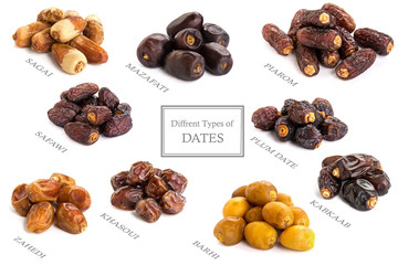 Different types of Dates, Piled with name 