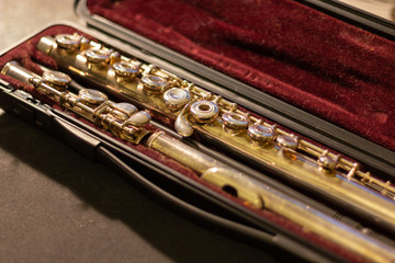 flute inside the case