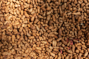 Raw unpeled groundnuts - peanuts freshly harvested