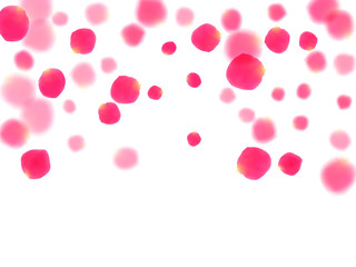 Pink rose petals falling vector valentine background. Light showering flower blossom parts vector. Crimson rose red pink petals spa background. Valentine or natural cosmetics design.