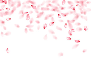Apricot flower flying petals isolated on white. Natural floral background. Japanese sakura petals seasonal confetti, blossom elements flying. Falling cherry blossom flower parts vector.