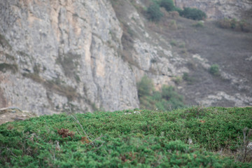 Majestic landscape of mountains and Meadow. Cycling mountain road. Misty mountain road in high mountains.. Cloudy sky with mountain road.