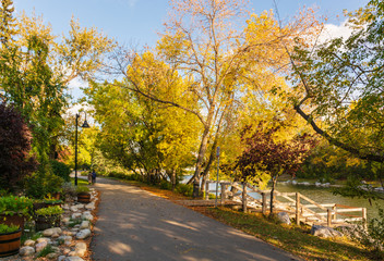 Obraz premium Autumnal footpath at Prince's Island Park in Calgary