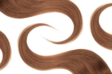 Brown (dark) hair isolated on white background. Long wavy ponytail